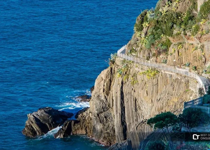 Sunny And Lovely - Free Wifi