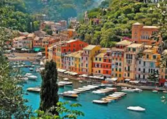 Sunny And Lovely - Free Wifi